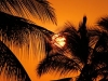 kona-sunset-palms