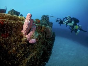 St. Croix Wreck Dive