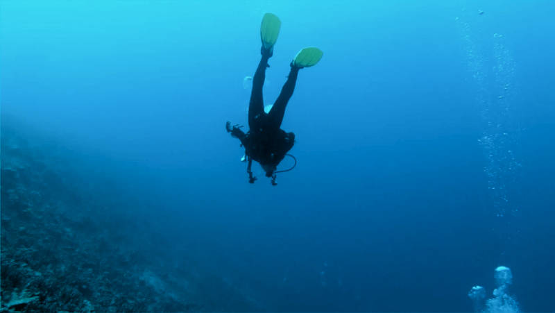 Preventing Diver Fatalities