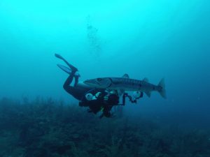 Roatan Diving - Reef House Scuba