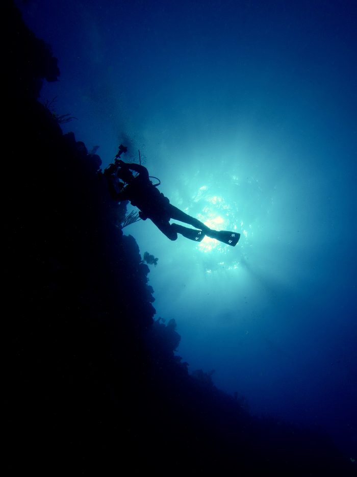 Roatan Scuba Diver - Underwater Photography