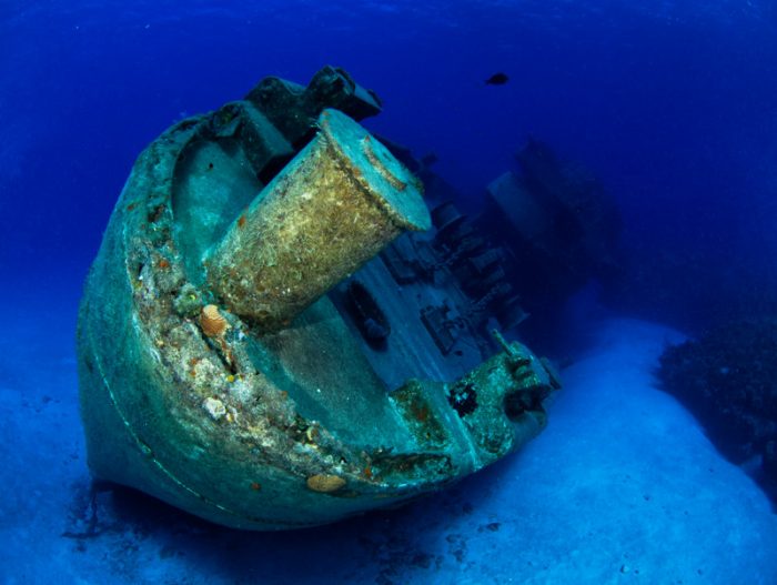 Underwater Photography Grand Cayman - Kittewake Underwater