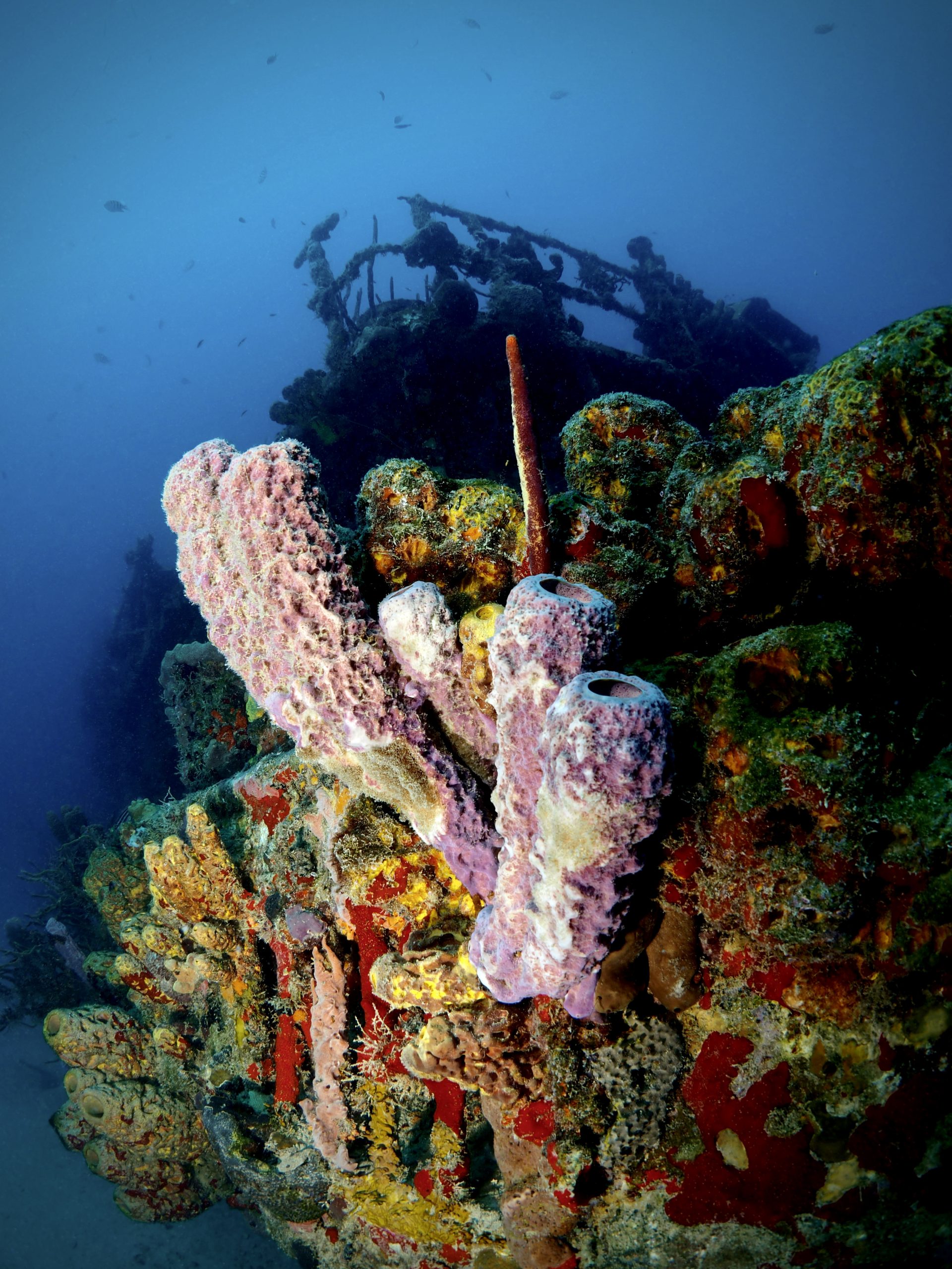 St Croix Wreck Dive