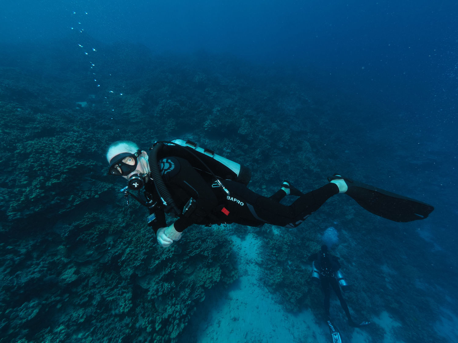 Diving the DGX Gears S1 Single Tank Wing