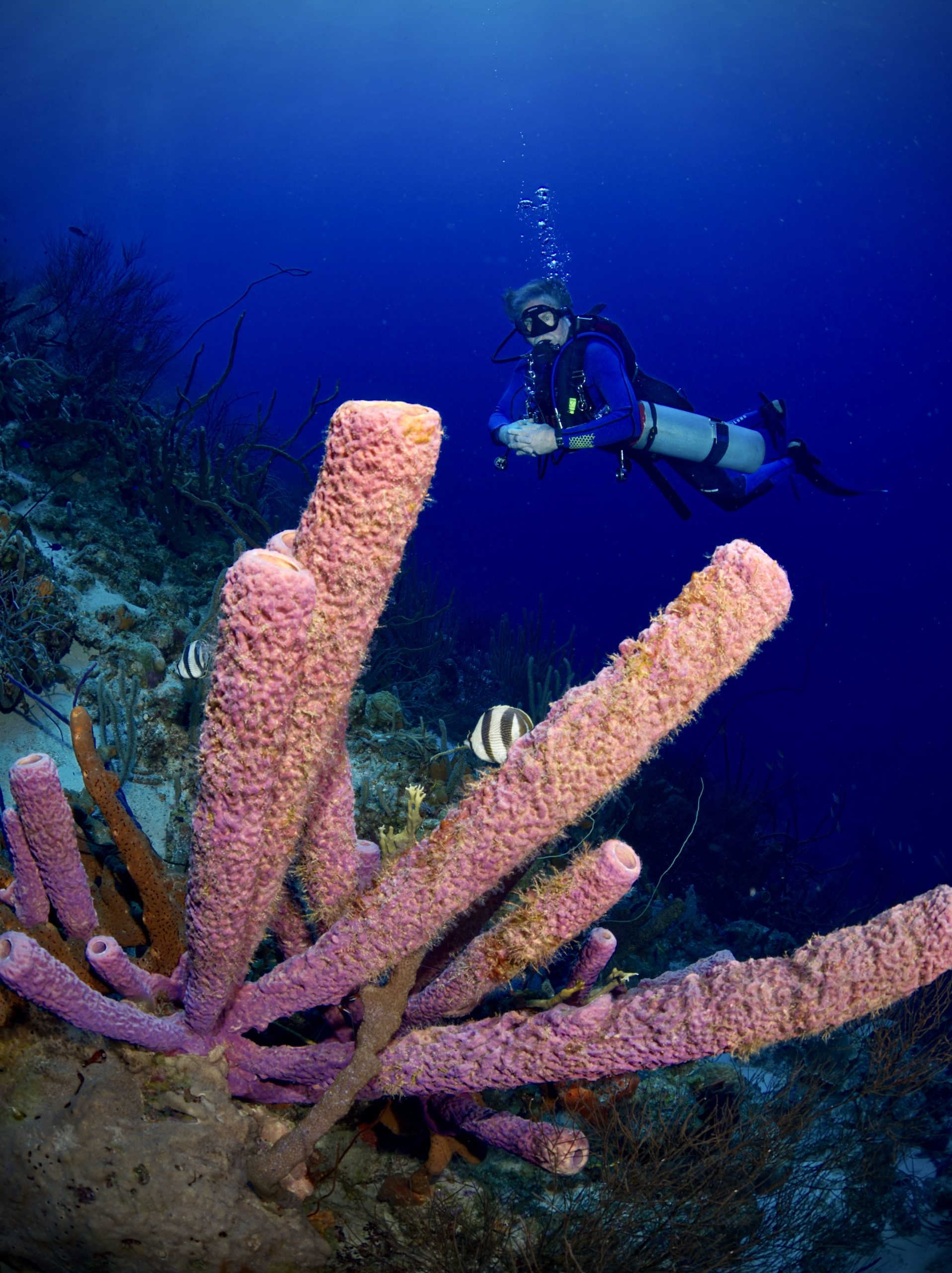 Sidemount Diver, Curacao