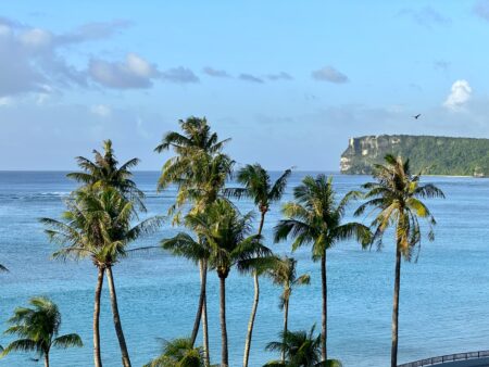 Truk Lagoon Dive Travel - Palm Trees in Guam