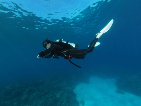 Weight placement is the most important aspect for perfect trim in scuba diving.