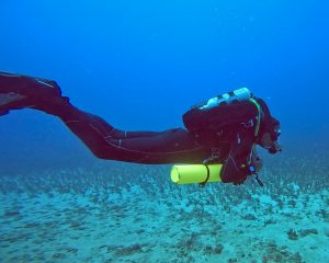 Maui Rebreather Diving