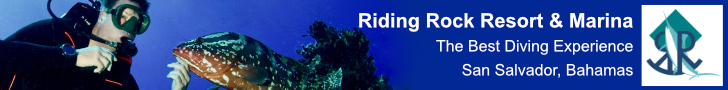 Riding Rock Resort, Bahamas Diving