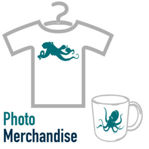 Merchandise