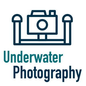 Underwater Photo Gear