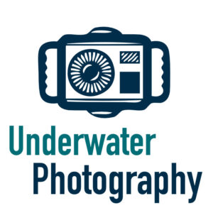 Underwater Photo Gear